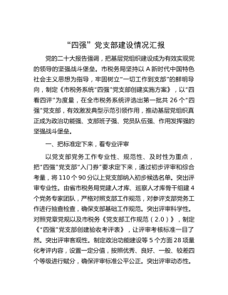 市税务系统“四强”党支部建设情况总结汇报