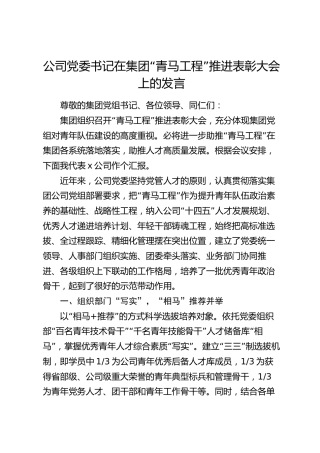 公司书记在“青马工程”推进表彰大会上的发言