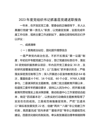 2023年党组织书记抓党建述职报告（乡镇3000字）