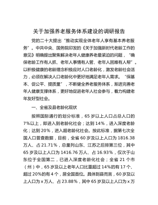 加强养老服务体系建设的调研报告