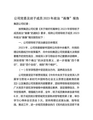 公司党委及班子成员2023年政治画像报告3700字