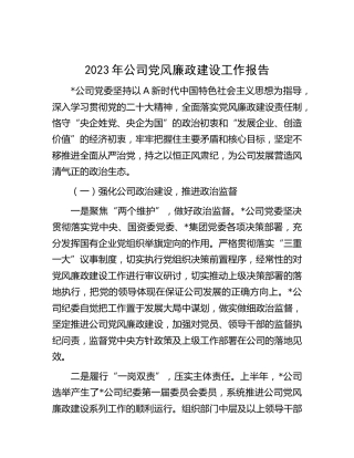 2023年公司党风廉政建设工作报告（2600字总结）
