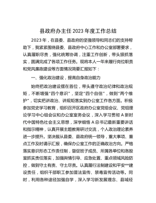 县政府办主任2023年度个人工作总结