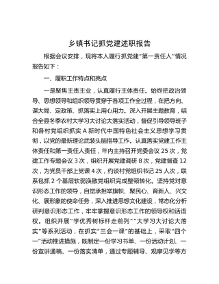 乡镇书记抓党建述职报告3600字