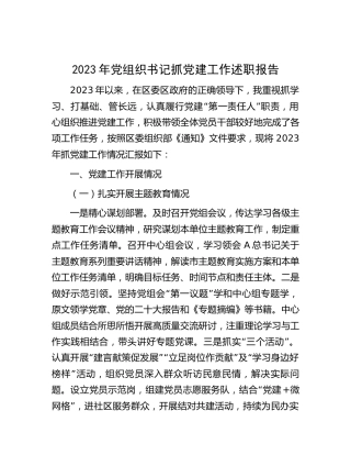 2023年党组织书记抓党建工作述职报告3600字