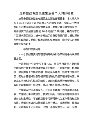 巡察整改专题民主生活会个人对照检查3800字