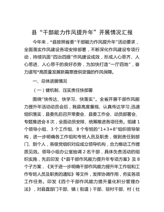 县区“干部能力作风提升年”开展情况总结汇报