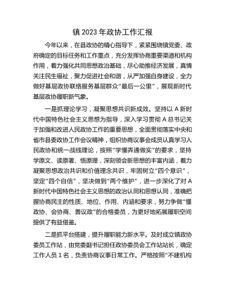 乡镇2023年政协工作汇报（简单版）