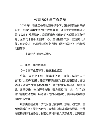 公司2023年工作总结6600字