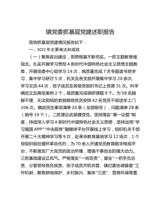 乡镇抓基层党建述职报告3100字