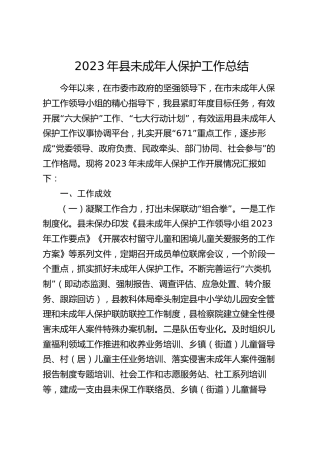 2023年县未成年人保护工作总结