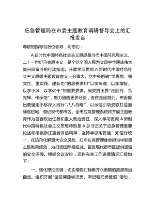 应急系统在主题教育调研督导会上的汇报发言（总结）