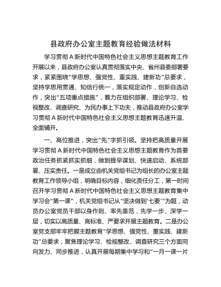 县政府办公室主题教育经验做法总结2900字