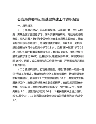 公安系统党委书记抓党建工作述职报告2100字