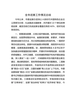 巡察办关于全市巡察工作情况总结2700字