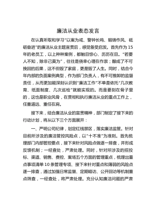 廉洁从业表态发言（公司）