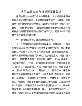 区司法系统2023年度党建工作总结4500字