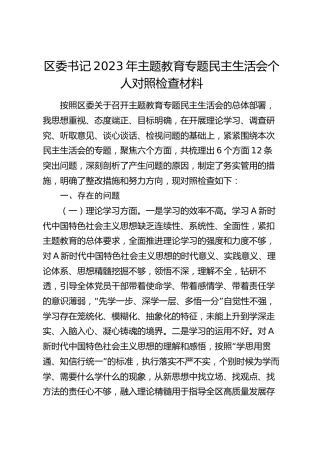 区委书记2023年主题教育专题民主生活会个人对照检查4800字