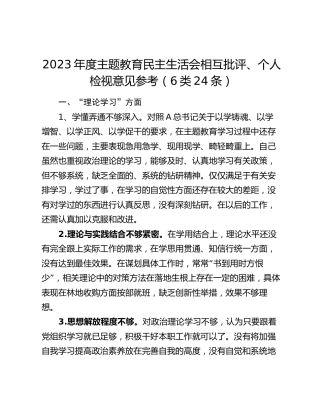 主题教育民主生活会剖析问题意见参考（6方面24条4000字）