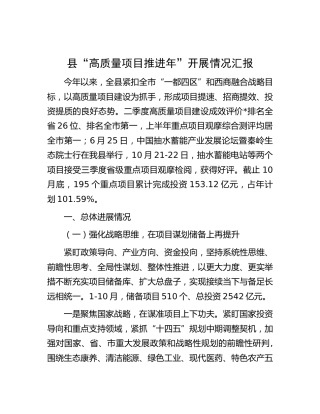 县“高质量项目推进年”开展情况总结汇报