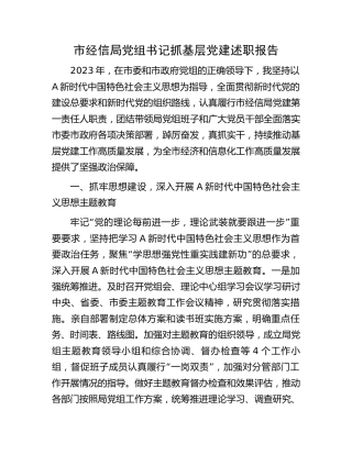 书记抓基层党建述职报告（工信经信3200字）