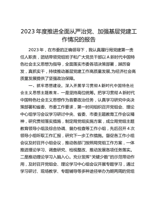 2023年度个人推进全面从严治党、加强基层党建工作情况总结报告