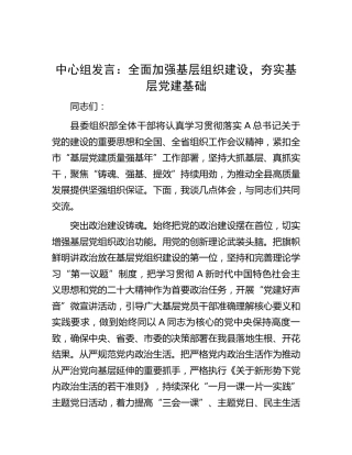 中心组发言：全面加强基层组织建设，夯实基层党建基础