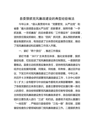 县委狠抓党风廉政建设的典型经验做法总结