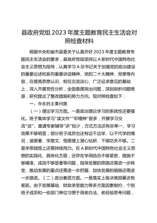 县政府班子2023年度主题教育民主生活会对照检查5100字