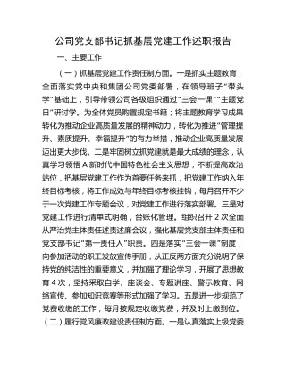 公司党支部书记抓党建工作述职报告2700字