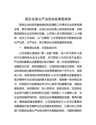 国企公司全面从严治党经验典型案例