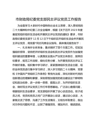 党支部民主评议党员工作情况报告（财政）