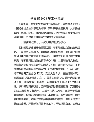 党支部2023年工作总结1500字（党建总结）