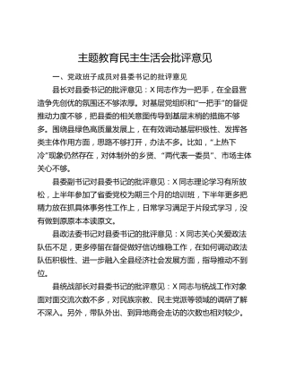 主题教育民主生活会批评意见2700字