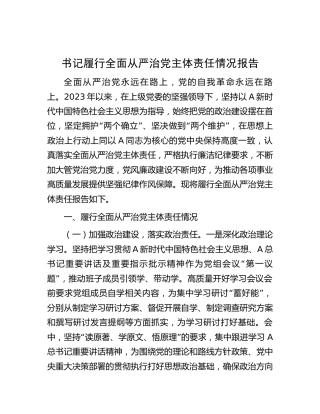 2023年书记履行全面从严治党主体责任情况报告（3100字总结）