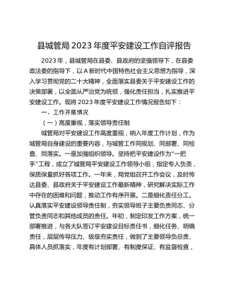 城管综合执法系统平安建设工作自评总结报告