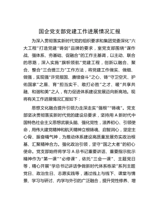 国企公司党支部党建工作进展情况汇报（2900字总结）