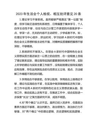 2023年生活会个人检视、相互批评意见20条