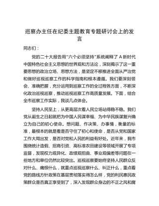 巡察办主任在纪委主题教育专题研讨会上的发言3200字
