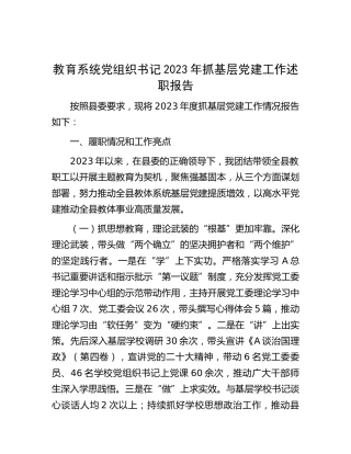 教育系统书记2023年抓基层党建工作述职报告2900字