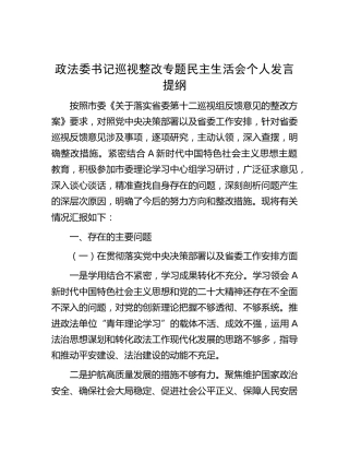 政法委书记巡视整改专题民主生活会个人发言