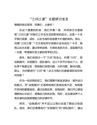 主题教育“三问三查”主题研讨发言