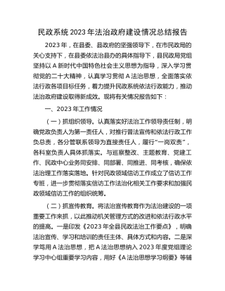 民政系统2023年法治政府建设情况总结报告