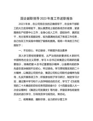 国企副职领导2023年度工作述职报告2100字（公司）