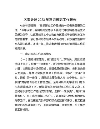 审计系统2023年意识形态工作总结报告2500字