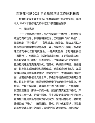 党支部书记2023年抓基层党建工作述职报告（医保3900字）