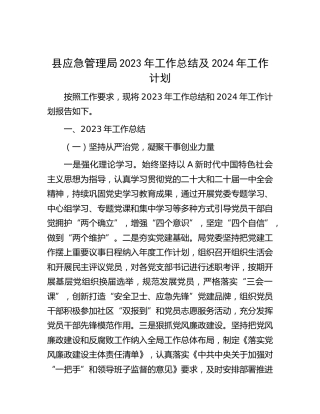 县应急管理局2023年工作总结