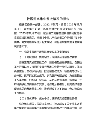 社区关于巡察集中整改情况的总结报告2900字