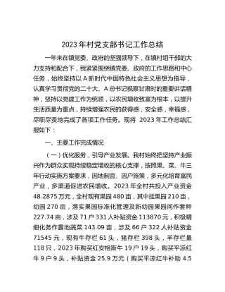 2023年村（社区）党支部书记工作总结（述职2200字）