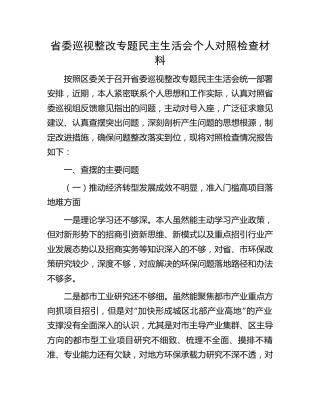 巡视巡察整改专题民主生活会个人对照检查3200字